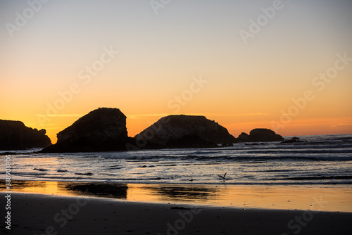 Birds after sunset in the famous Sand Dollar Beach. California, USA.