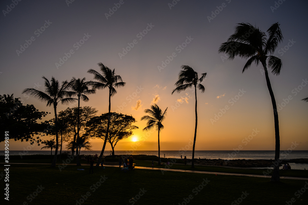 Trees at Ko Olina beach park right before sunset. Oahu, Hawaii.