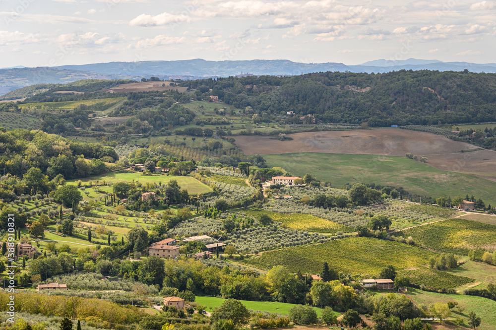 Houses and green fields in Montepulciano. Tuscany, Italy..