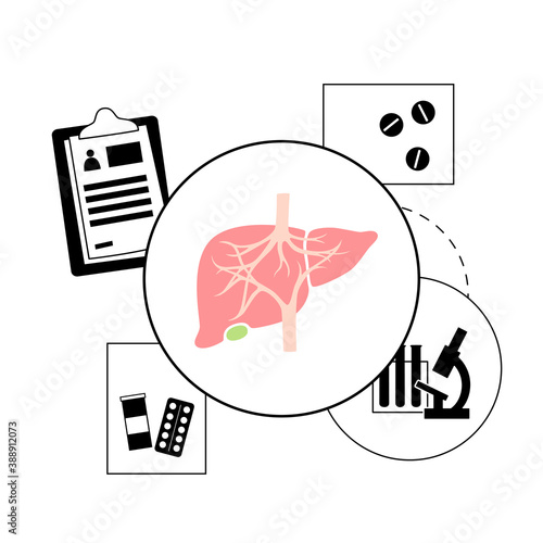 Liver Template Concept