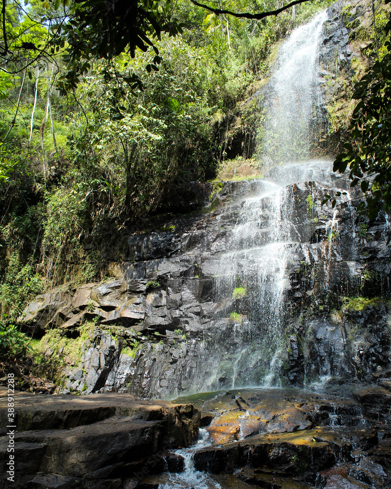 Obraz premium waterfall in the woods