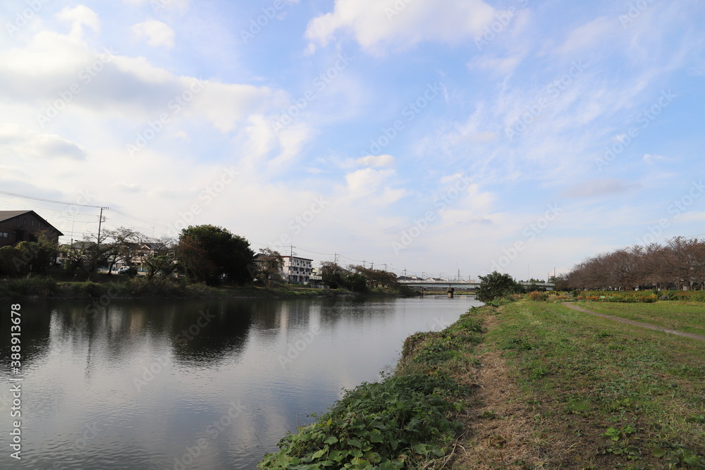 日本の埼玉県蓮田市付近を流れる元荒川の岸辺の風景