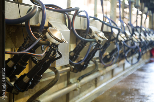 Mechanized milking equipment in cow farm