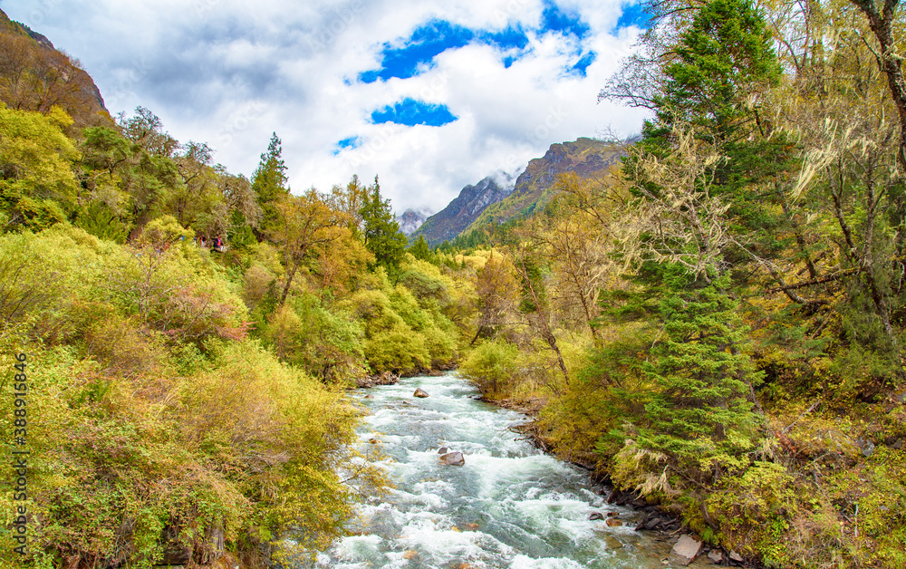 photography picture of the stream scenery in the autumn mountain forest photography picture of the stream scenery in the autumn mountain forest