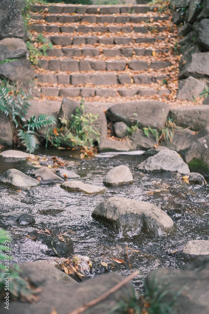 Obraz premium stone steps by a river in the park