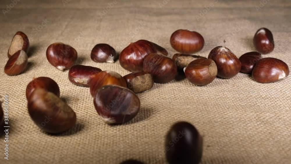 Chestnuts falling on jute canvas background. Chestnuts falling on jute canvas background.