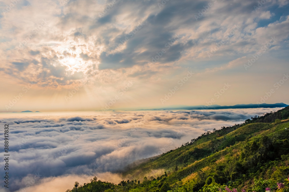 Morning in the mountain