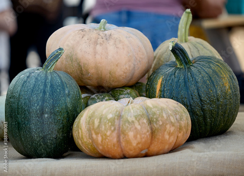 Home Grown Various Types of Squash