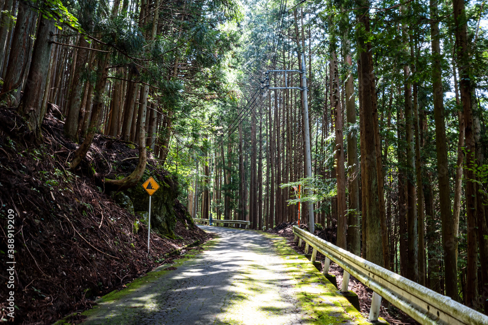 【ドライブイメージ】山奥の林道