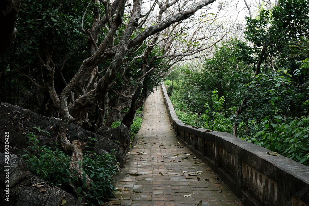 Obraz premium Backgrounds walkway On the Mountain