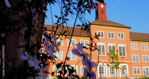 Shot of Blooming Vines with an old German Psychiatry in the Background photo