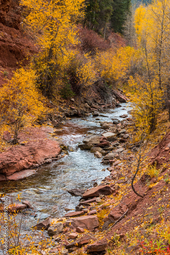 Fall Creek on Fall Creek Road, Placerville, Colorado, USA