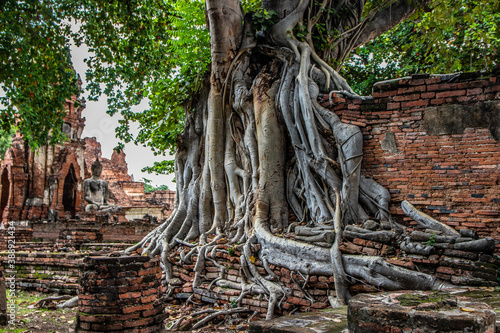 Ayutthaya Wat Mahathat Thailand