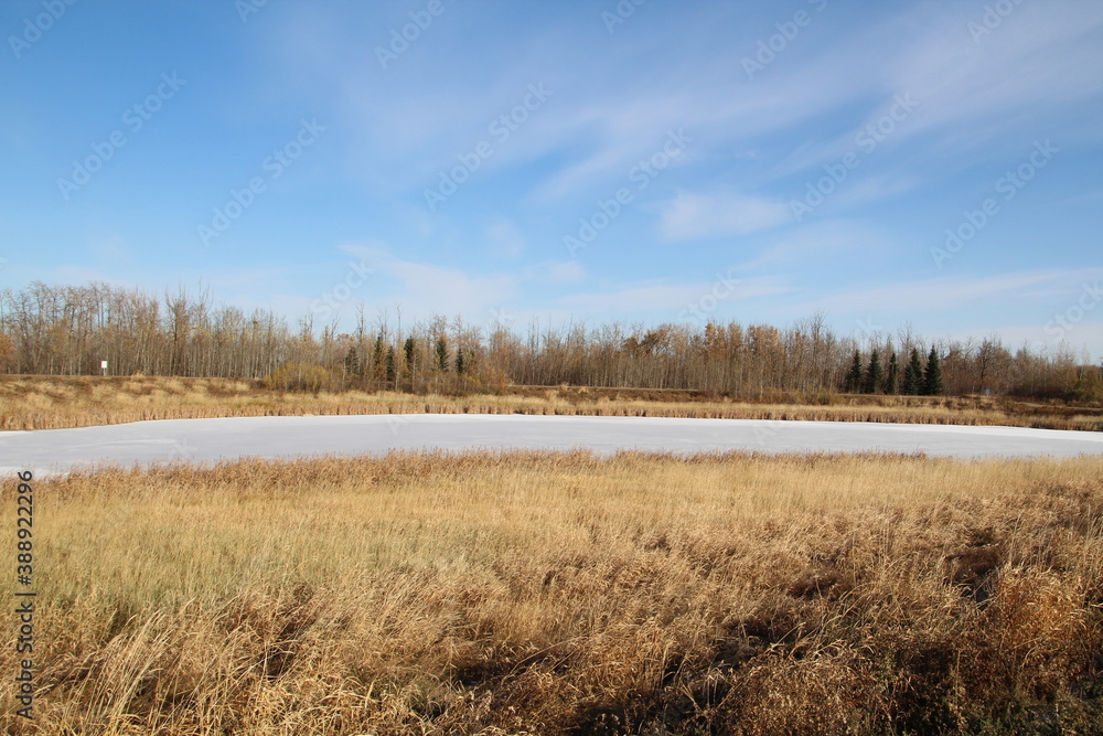 October Cold On Wetlands, Pylypow Wetlands, Edmonton, Alberta October Cold On Wetlands, Pylypow Wetlands, Edmonton, Alberta