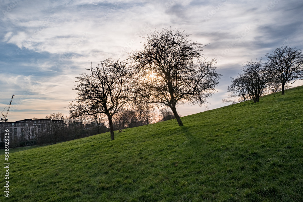 Obraz premium landscape with trees and clouds