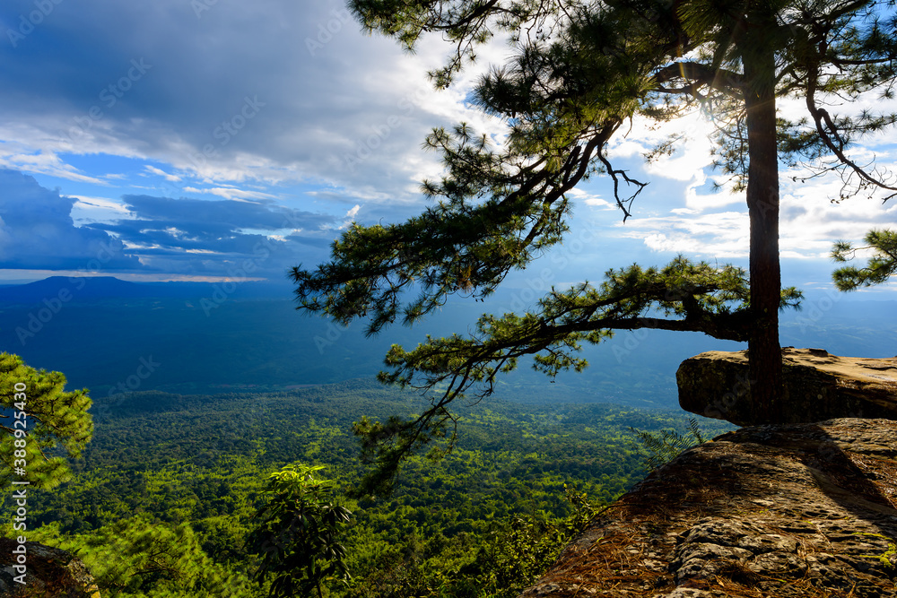 Beautiful viewpoint of Pha Lom Sak cliff at Phu Kradueng National Park, Thailand. Beautiful viewpoint of Pha Lom Sak cliff at Phu Kradueng National Park, Thailand.