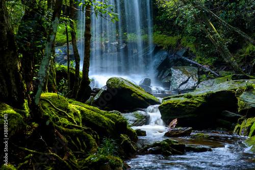 Fototapeta Naklejka Na Ścianę i Meble -  Beautiful waterfall in deep forest at Thailand.
