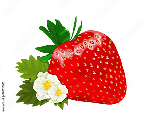 Isolated strawberry with leaf and flower close up hand drawing vector illustration