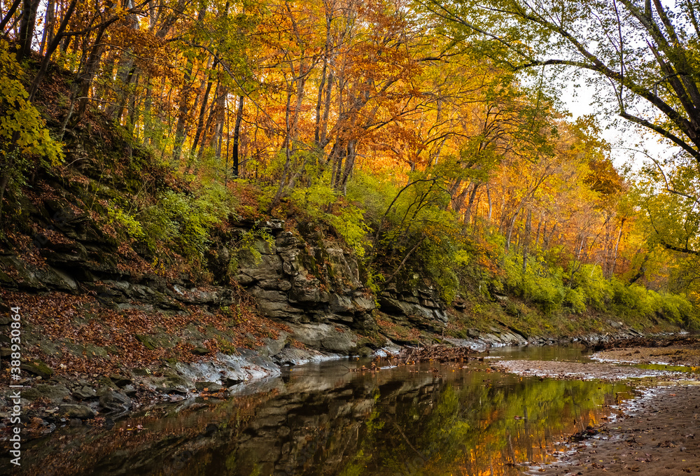 View of rocky cliff covered with  colorful autumn trees lit by setting sun; small creek at the bottom; fall in Missouri, Midwest
