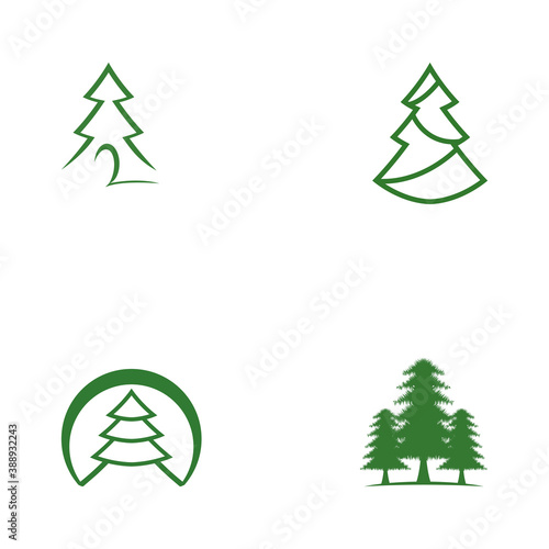 Set Cedar tree vector icon illustration design template