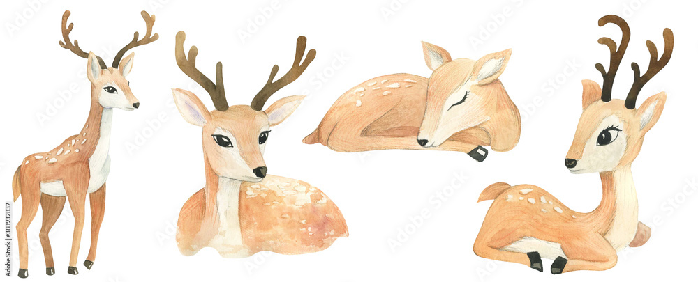 Obraz watercolor deer on white background, merry christmas, childrens illustration