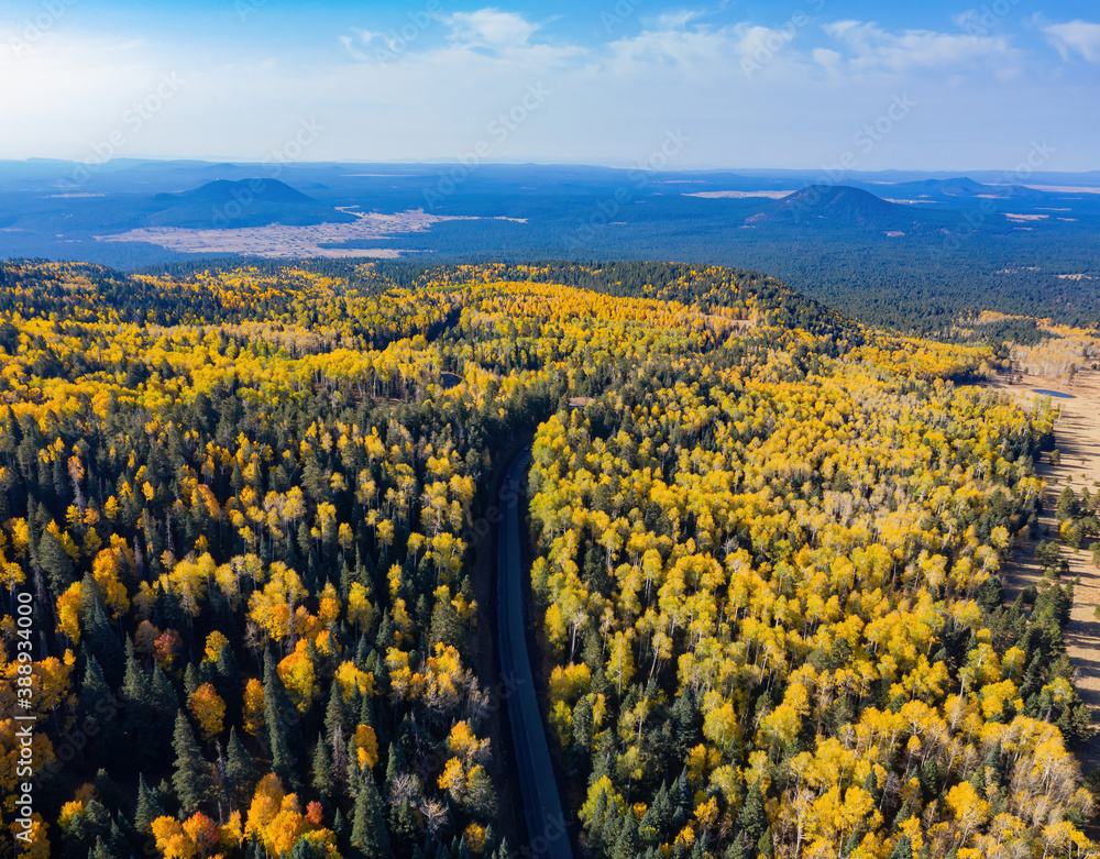 Aerial view of the beautiful fall color around the famous Arizona Snowbowl