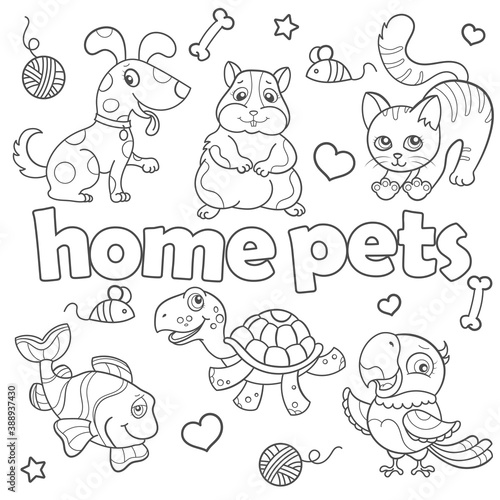 Set of contour illustrations with Pets, dark outlines on a white background, coloring book © Zagory