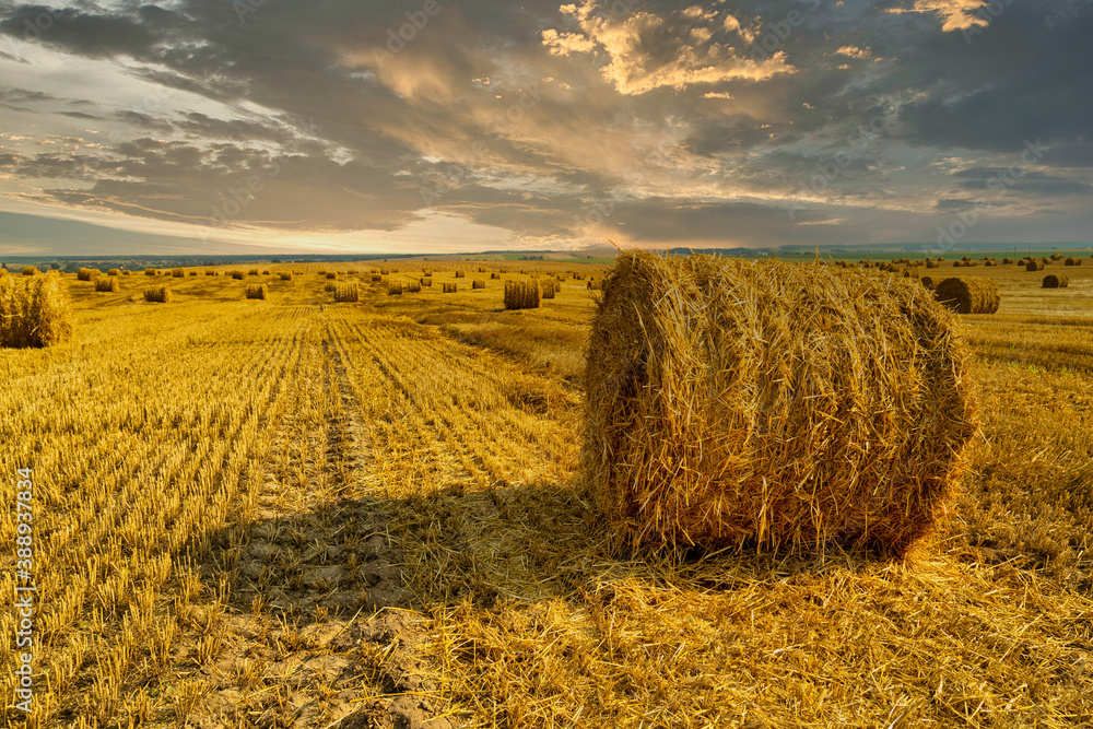Sunset on an endless field with bales of straw.