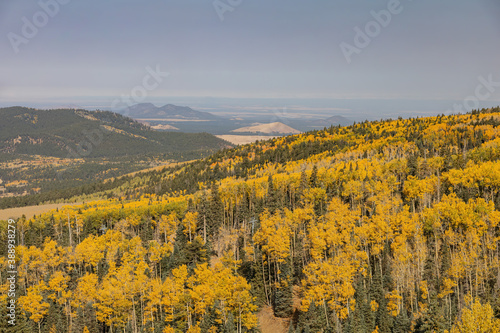 High angle view of the fall color around the famous Arizona Snowbowl