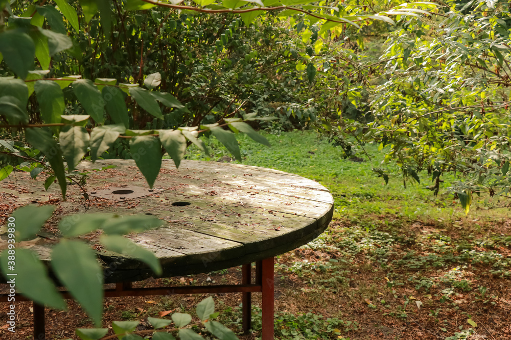 Old round wooden table in a secluded corner of the park