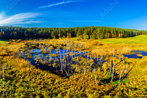 Fototapeta Naklejka Na Ścianę i Meble -  Polska złota jesień na Mazurach w północno-wschodniej Polsce