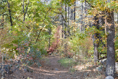 Beautiful fall color around Cave Springs Campground