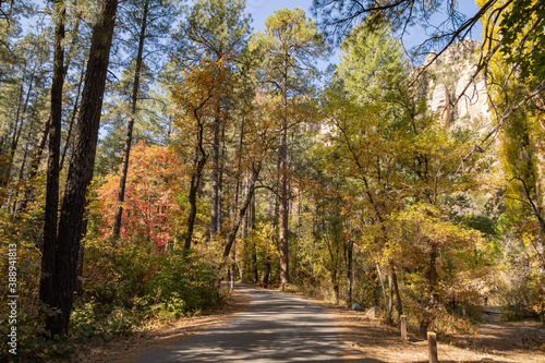 Fototapeta Naklejka Na Ścianę i Meble -  Beautiful fall color around Cave Springs Campground