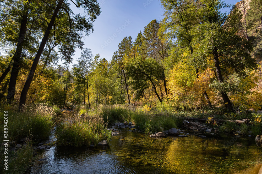 Beautiful fall color around Cave Springs Campground