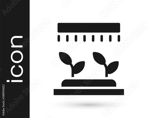 Black Automatic irrigation sprinklers icon isolated on white background. Watering equipment. Garden element. Spray gun icon. Vector.