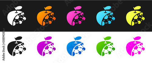 Set Biological structure icon isolated on black and white background. Genetically modified organism and food. Vector.