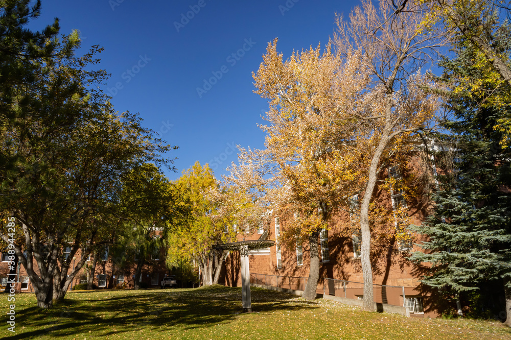 Beautiful fall color around the campus of Northern Arizona University