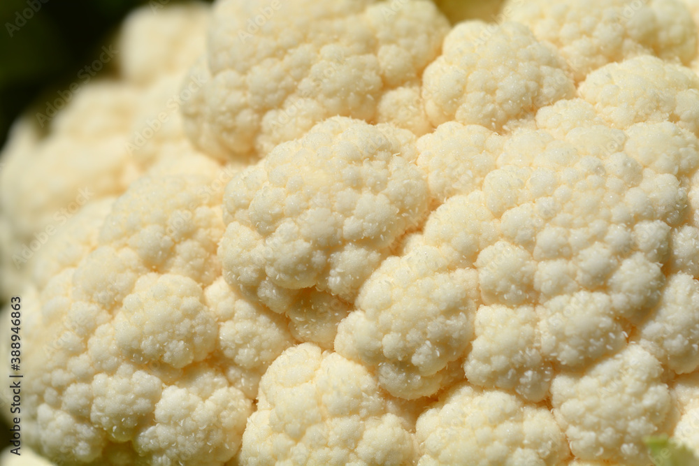 Cauliflower Cauliflower