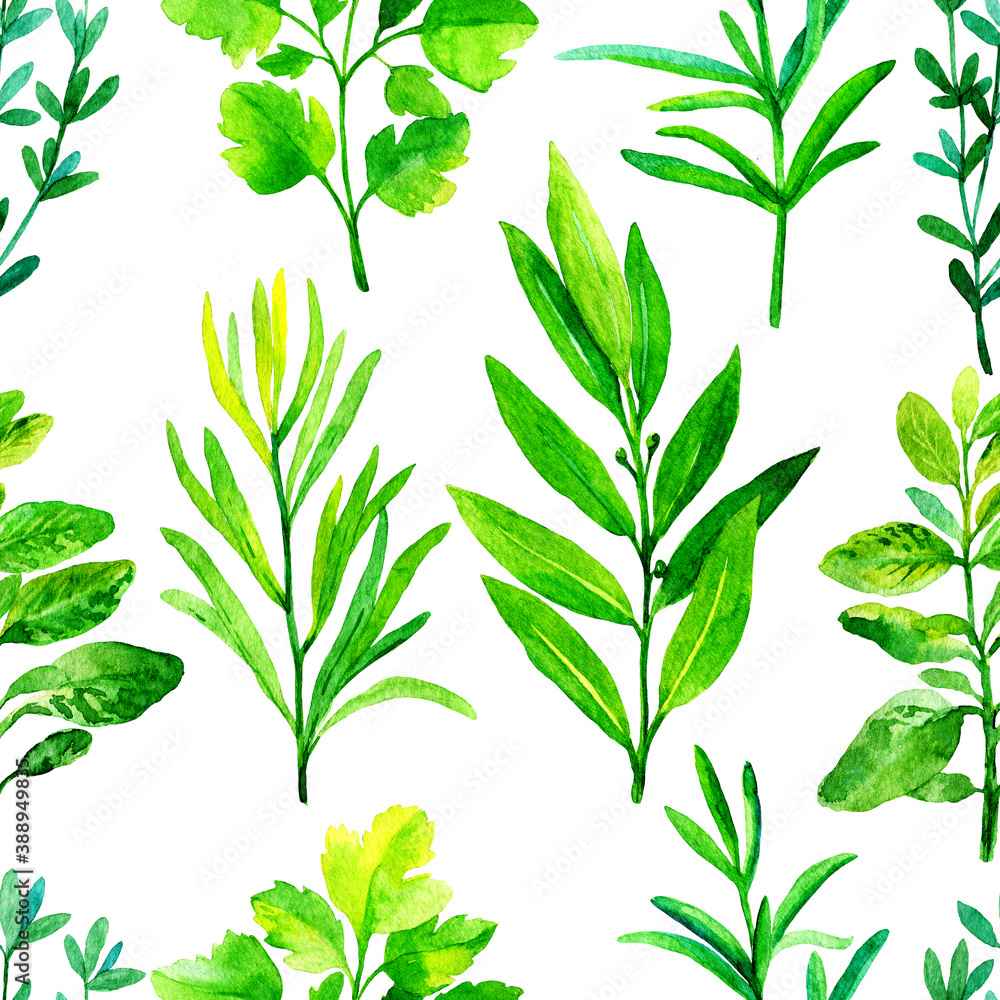 seamless pattern with culinary herbs and spices