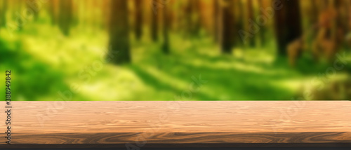Wood table top and blur Forest background.panoramic banner - can be used for display or montage your products.Winter travel style concept - 3d rendering