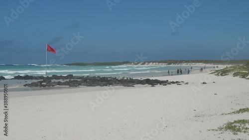 Beautiful View Of The White Sandy Beaches Of Tortuga bay, Galapagos photo