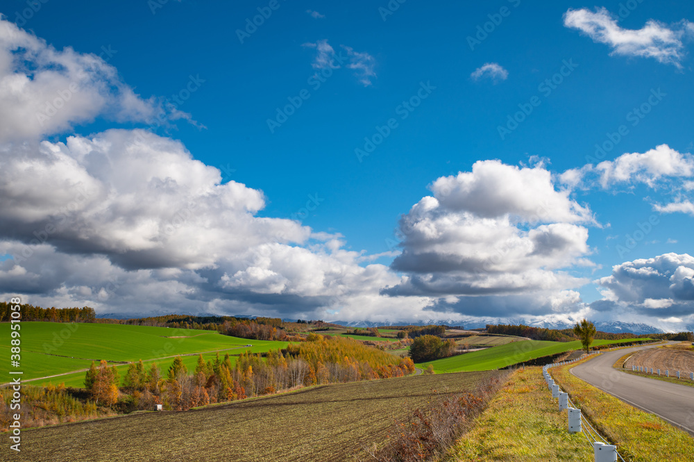 Obraz premium 10月終盤の美瑛の紅葉遠景