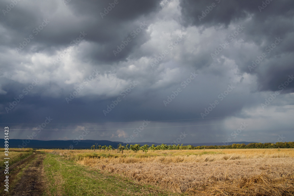 Thunderstorm clouds over autumn fields with oats and sunflowers