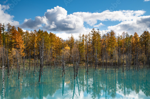 10月終盤の美瑛青い池の紅葉リフレ
