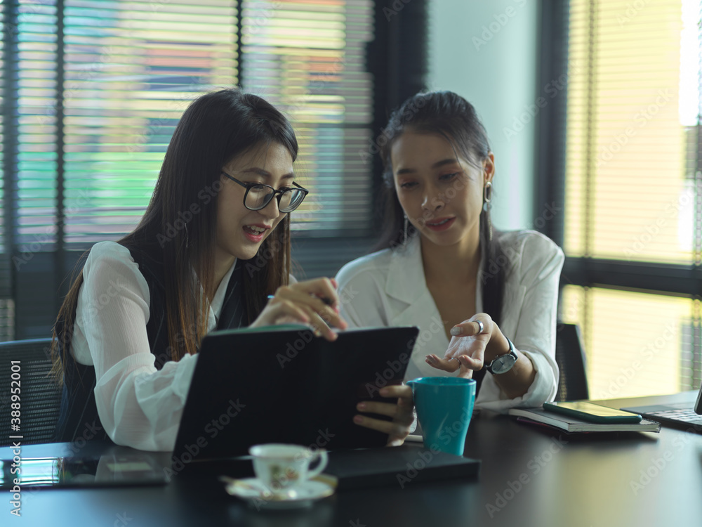 Two female businesspeople consulting on their project in meeting room Two female businesspeople consulting on their project in meeting room
