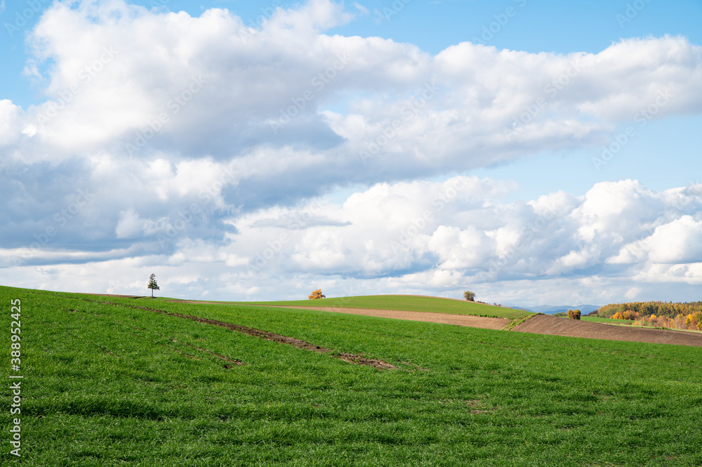 Obraz premium 10月終盤美瑛の丘の空模様