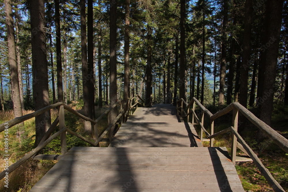 Board walk to the summit of Boubin in Bohemian Forest,South Bohemian Region,Czech republic,Europe

