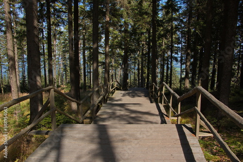 Board walk to the summit of Boubin in Bohemian Forest,South Bohemian Region,Czech republic,Europe 