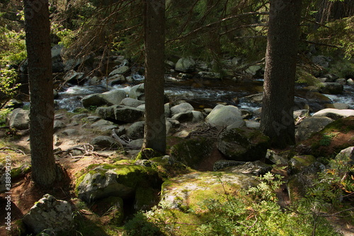 River Vydra in Bohemian Forest in Czech republic,Europe  © kstipek