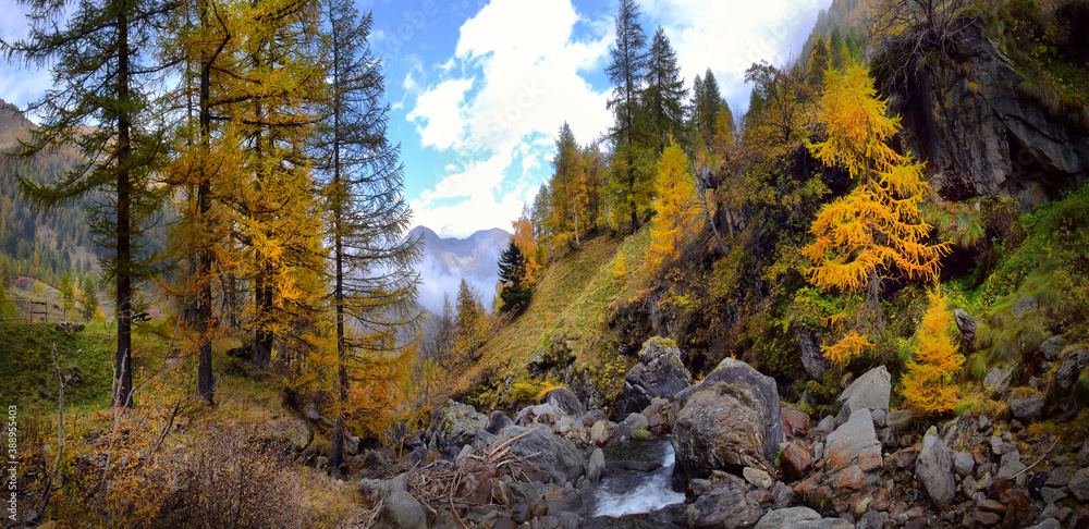 Stunning autumn alpine landscape with colorful redwood forest and beautiful yellow larches.